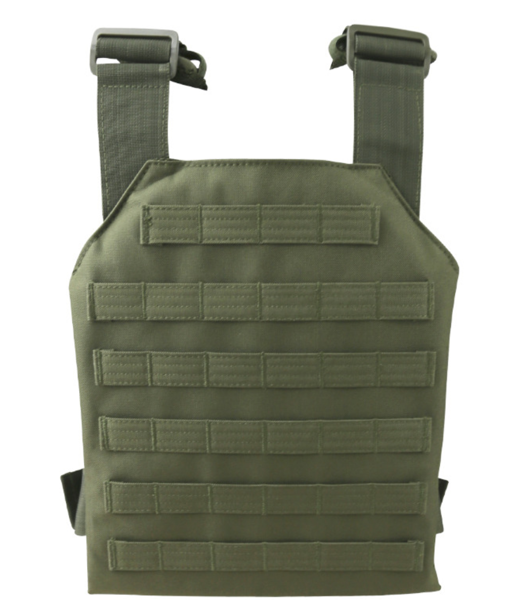 SpartanPlateCarrierOliveback