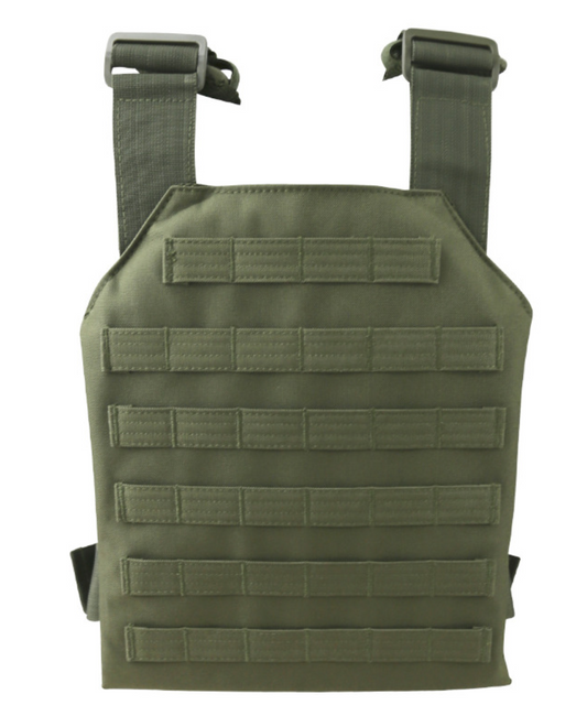 SpartanPlateCarrierOliveback